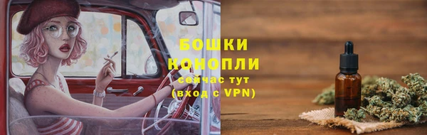 шишки Лиски