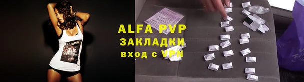 сатива Лабытнанги
