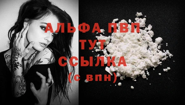 сатива Лабытнанги