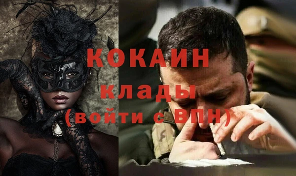 индика Ладушкин