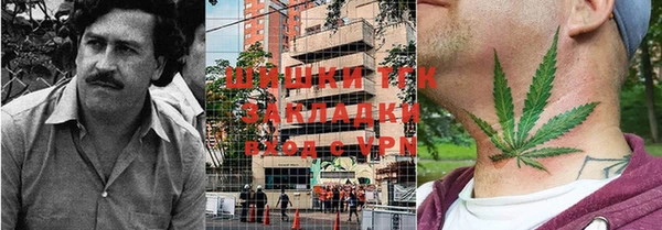сатива Лабытнанги