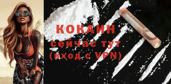сатива Лабытнанги