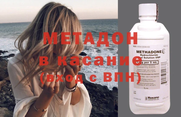 индика Ладушкин