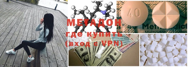 индика Ладушкин