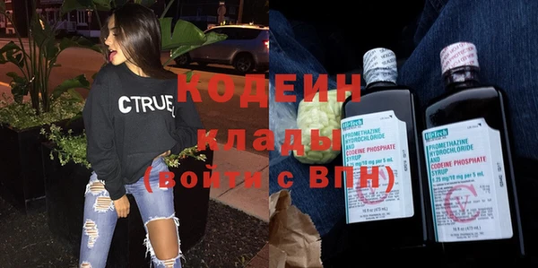 индика Ладушкин