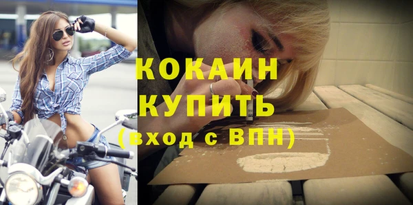 индика Ладушкин