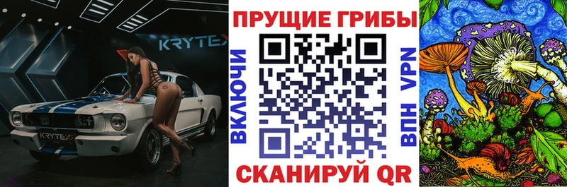 Псилоцибиновые грибы Psilocybine cubensis  Купить где  Балей 